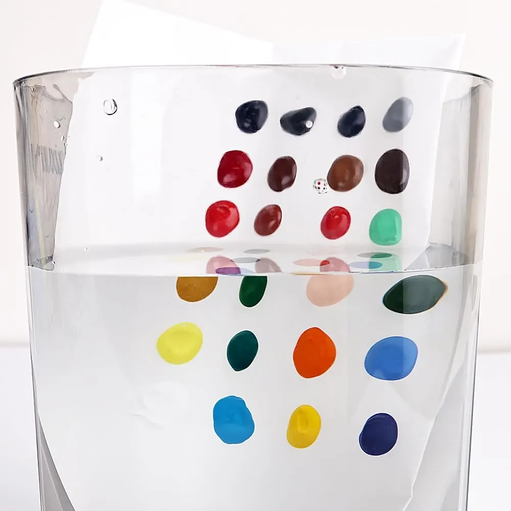 Xin Bowen Premium Acrylic Paint Set – 12 × 12ml Tubes, Imported Artist-Quality Acrylic Colors for Canvas Painting, Crafts, DIY, Art Projects & Creative Artwork | Buy2Enjoy